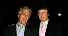 Trump's closest lieutenants are now gripped by dark dread over Epstein