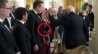 Trump's unmistakably paternal moment with Elon cements the Prodigal Son's triumphant White House return