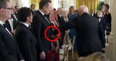 Trump's unmistakably paternal moment with Elon cements the Prodigal Son's triumphant White House return
