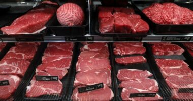 Trump’s ‘Inflated Beef’ Claims Spur DOJ Investigation Into Meat Packers