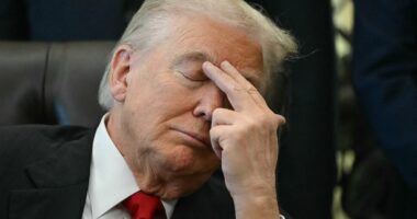 Trumpworld fumes at Democrats' affordability 'con job'