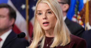 Truth will set you free: AG Pam Bondi must release all the Epstein files, no more excuses