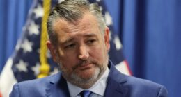 Tucker Carlson laughs off Ted Cruz's potential challenge to JD Vance in 2028 … by targeting HIM