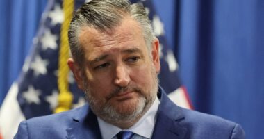 Tucker Carlson laughs off Ted Cruz's potential challenge to JD Vance in 2028 … by targeting HIM