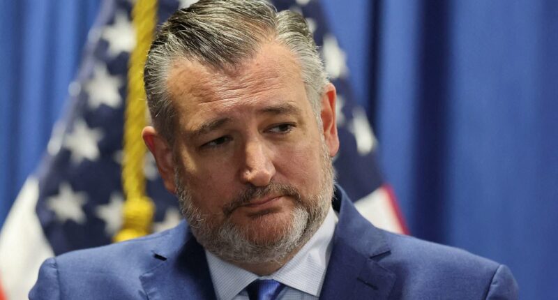 Tucker Carlson laughs off Ted Cruz's potential challenge to JD Vance in 2028 … by targeting HIM