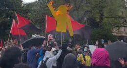 Flag burns at Melbournbe, Victoria protest