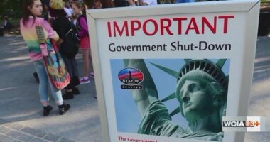 U of I political science professor expects more funding issues, travel delays if shutdown drags on