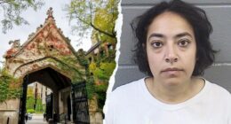 UChicago silent on anti-ICE professor's employment status month after rally arrest on violent felonies