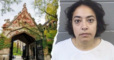 UChicago silent on anti-ICE professor's employment status month after rally arrest on violent felonies