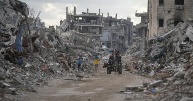 UN approves Gaza ceasefire plan put forward by Trump administration