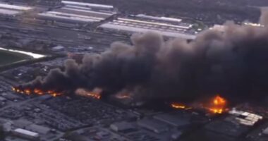 UPS plane crash death toll rises to NINE as expert points out issue