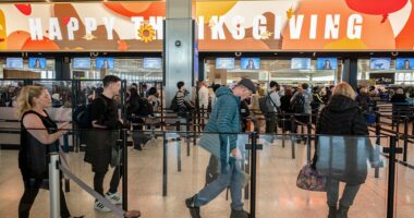 US braces for one of the busiest Thanksgiving travel seasons in years as 81.8M Americans hit the roads, skies