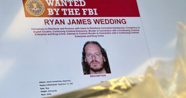 US sanctions former Canadian Olympian Ryan Wedding amid global drug trafficking accusations