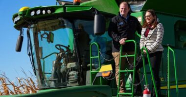 USDA data casts doubt on China's soybean purchase promises touted by Trump