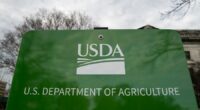 USDA tells states SNAP will be fully funded during appeal
