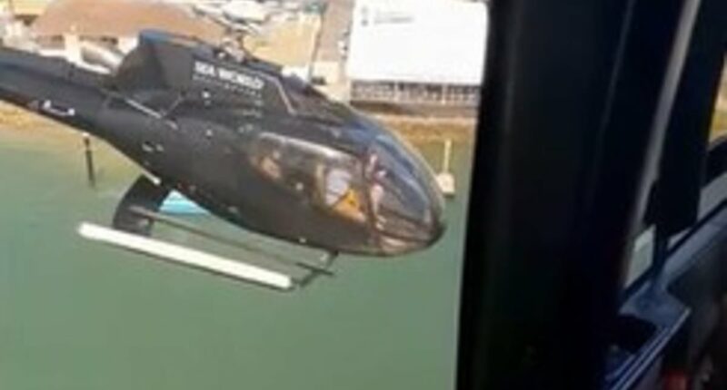 Unseen videos capture fatal Sea World chopper crash in Queensland