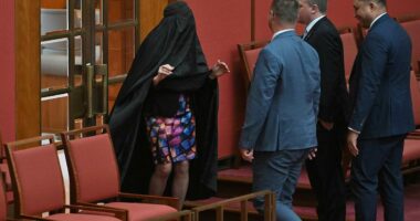 Uproar in Senate as Pauline Hanson surprises by wearing her old BURQA