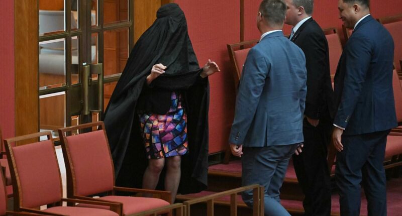 Uproar in Senate as Pauline Hanson surprises by wearing her old BURQA