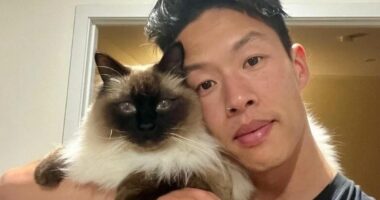 Urgent warning issued to pet owners about deadly household plant