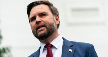 Vance calls court order to fully fund SNAP 'absurd ruling'