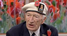 Veteran says winning WW2  'wasn't worth it' because of UK's state