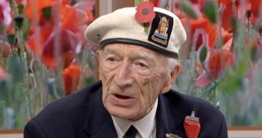 Veteran says winning WW2  'wasn't worth it' because of UK's state