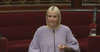 The upper-house MP said she was first sexually harassed at Spring Street in her first year as a staffer, aged 26.