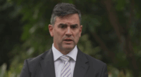 Victorian opposition leader Brad Battin told to step aside