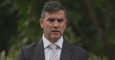 Victorian opposition leader Brad Battin told to step aside