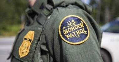 Video shows immigration agent punching restrained man after car collision turns into confrontation