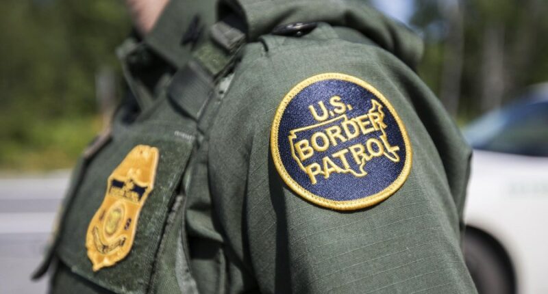 Video shows immigration agent punching restrained man after car collision turns into confrontation