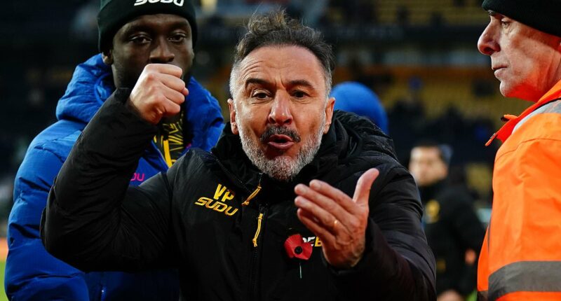Vitor Pereira and Wolves - where it all went wrong: The red flags that went ignored, gambles that backfired off the pitch, a leadership vacuum and why changing the manager may not fix everything this time
