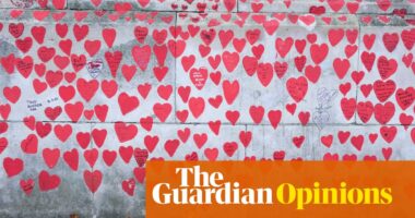 Vote for competent leaders, not entertainers – that’s what I wish the Covid report could say | Devi Sridhar