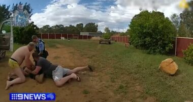 WA dad wearing nothing but SpongeBob undies takes down alleged carjacker