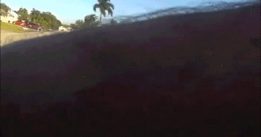 WATCH: Teen arrested after alleged wild shovel attack on police cruiser in ritzy Florida neighborhood