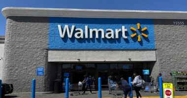 Walmart’s Online Shopping Surge Fuels Stock Rally