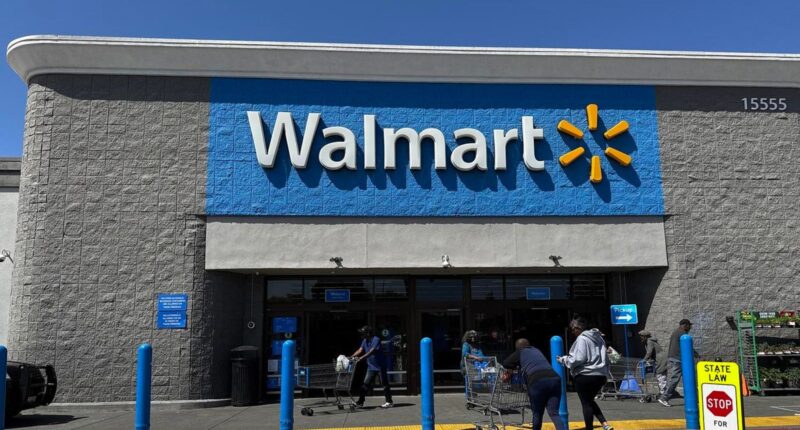 Walmart’s Online Shopping Surge Fuels Stock Rally