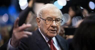 Warren Buffett's $6billion stock exit is his loudest warning yet