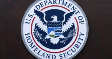 Watch CBP Agents Taking Care of Business on the Streets of NC in New 'Operation Charlotte's Web'