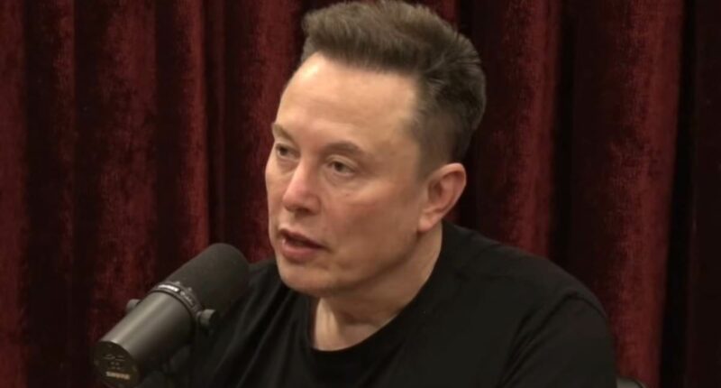 What Elon Musk would look like without weight-loss drugs and rumored 'hair transplant'