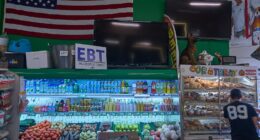 What SNAP recipients need to know as benefits expire amid government shutdown