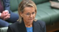 What Sussan Ley's own team are now saying behind her back