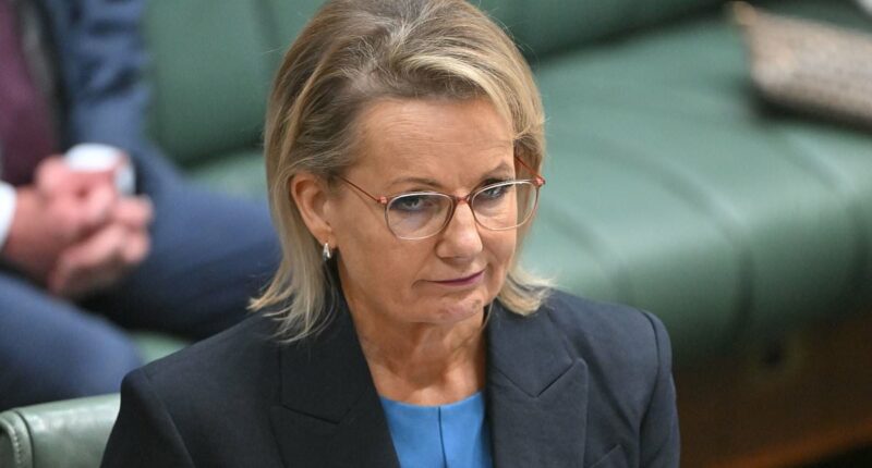 What Sussan Ley's own team are now saying behind her back