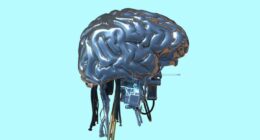 What insiders anonymously think about the AI race