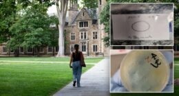 What we know about the Chinese nationals accused of smuggling biological materials while at university lab
