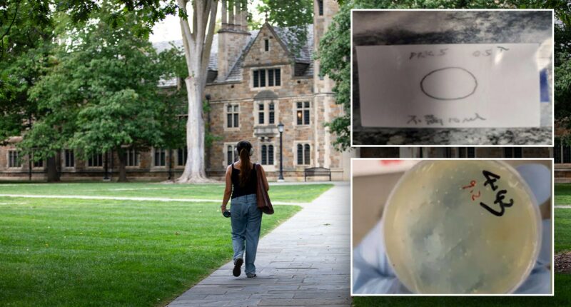 What we know about the Chinese nationals accused of smuggling biological materials while at university lab