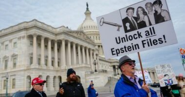 What's next once Trump signs bill releasing the Epstein files