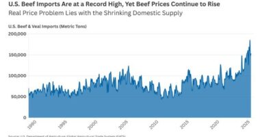What’s the Beef? Trump Wants Short Term Fixes; Long Term Fixes Are Much More Difficult