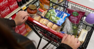 Where to access food assistance or donate to support Central IL communities