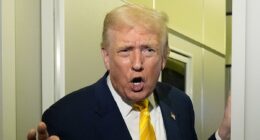 White House fury at Trump 'monster' jibe in showpiece BBC lecture